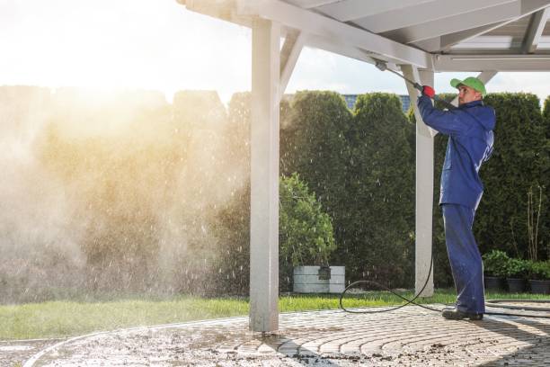 Animal Enclosure Cleaning in Sparkill, NY